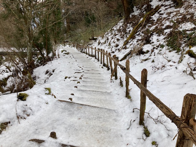 金剛山行の階段