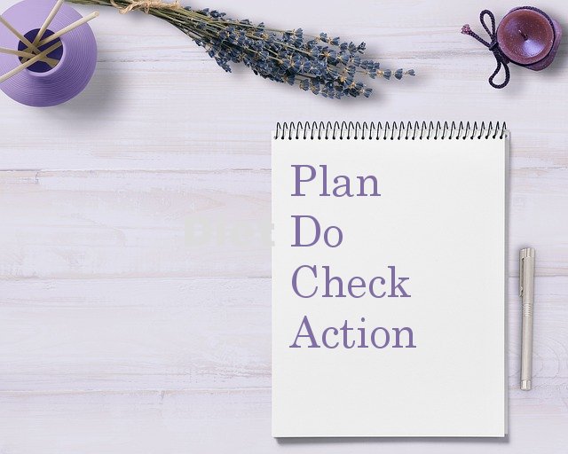 Plan do check action